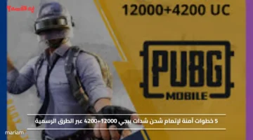5 خطوات آمنة لإتمام شحن شدات ببجي 12000+4200 عبر الطرق الرسمية